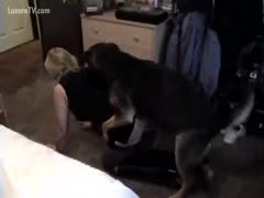 Blondie gets fucked by a dog.